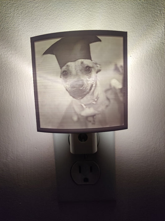 Custom  Nightlight  (send your image after purchase Details in description)